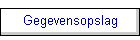Gegevensopslag