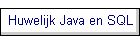 Huwelijk Java en SQL