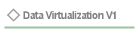 Data Virtualization V1